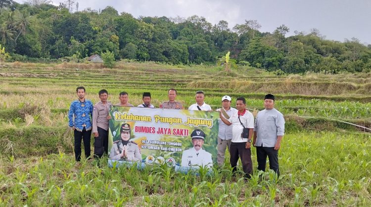 Pemdes Gumulung tonggoh realisasikan program ketahanan pangan